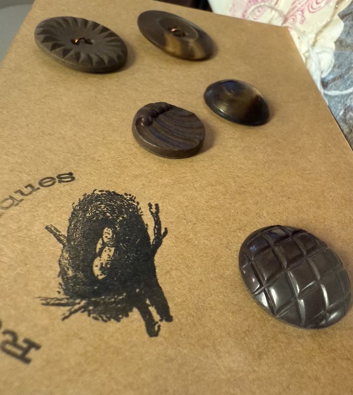 5 Vintage Buttons 1 Celluloid Bubble Top