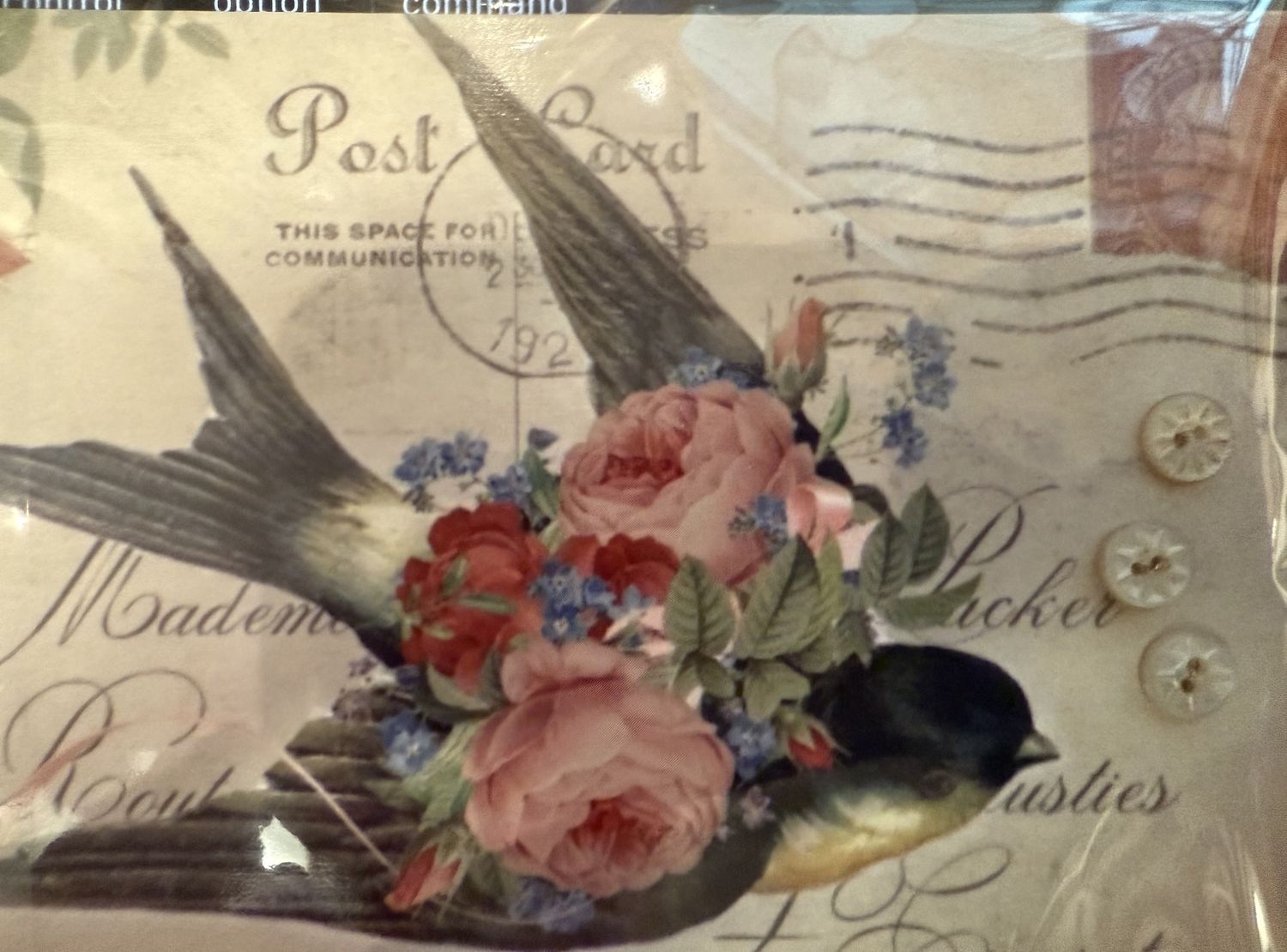 Swallow Postcard w/6 MOP Mini Buttons