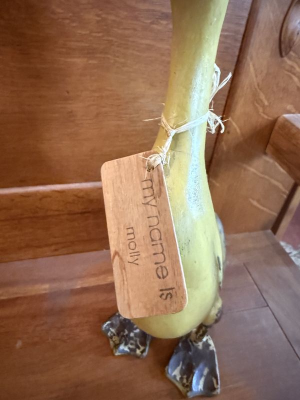 Smith and Hawkin teak Duck Molly Yellow