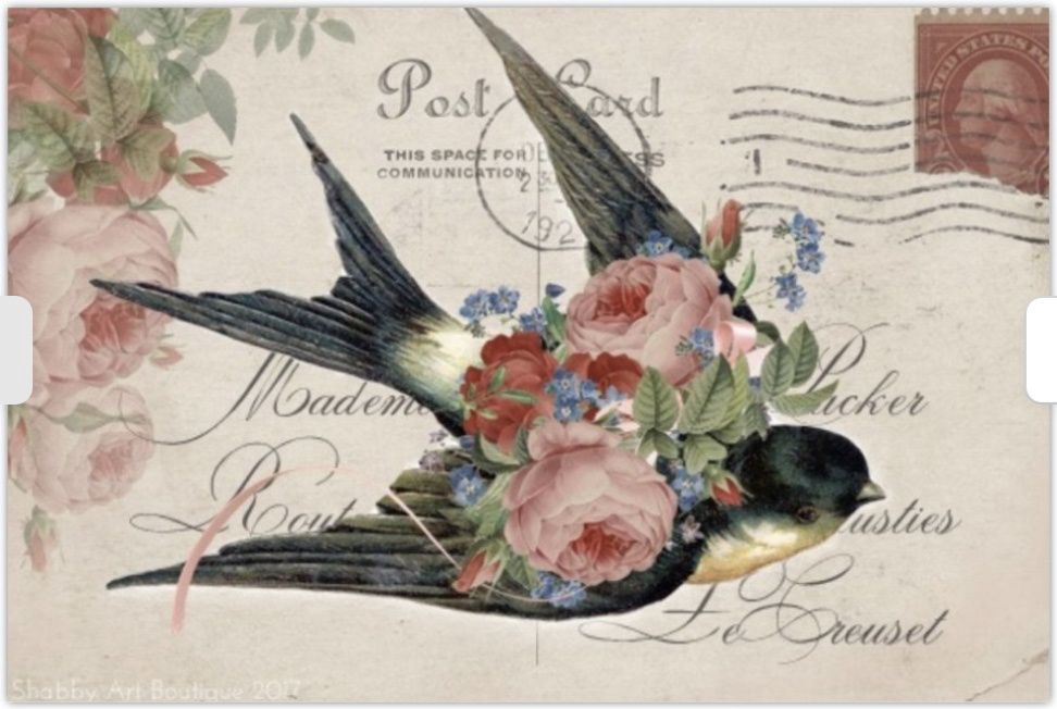 Swallow and Roses Postcard