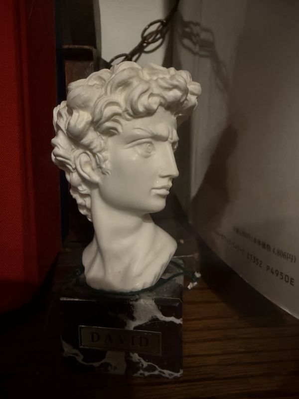 Small Resin and Marble Bust of David