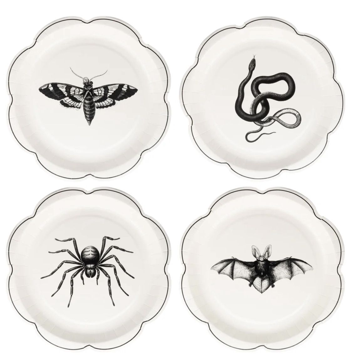 Halloween Apothecary Paper Plate Set