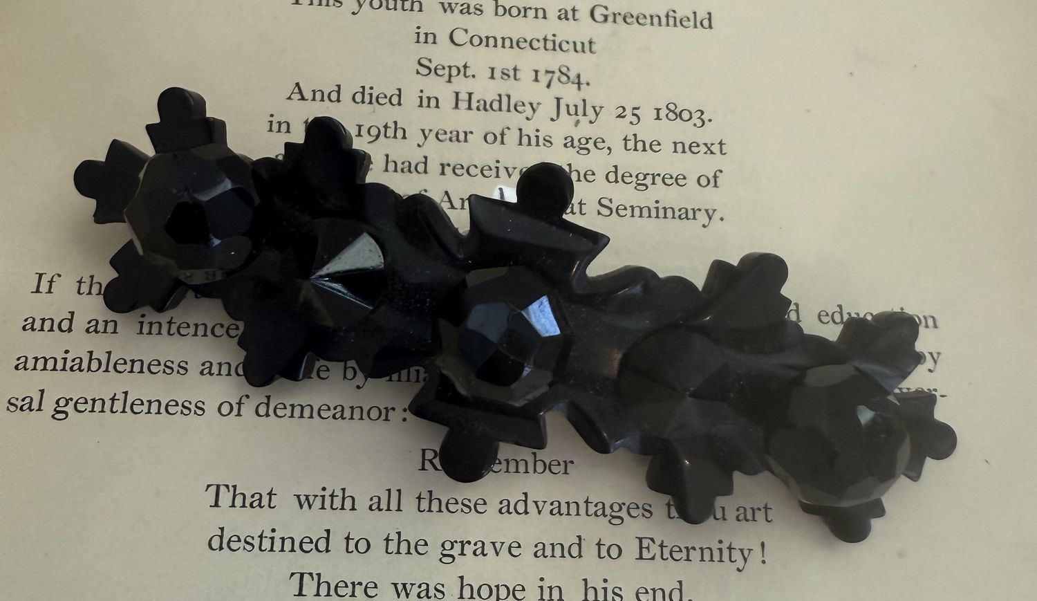 Bog Oak and Jet Mourning Black Victorian Brooch