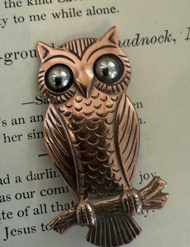 Vintage 1970s Copper Owl Brooch