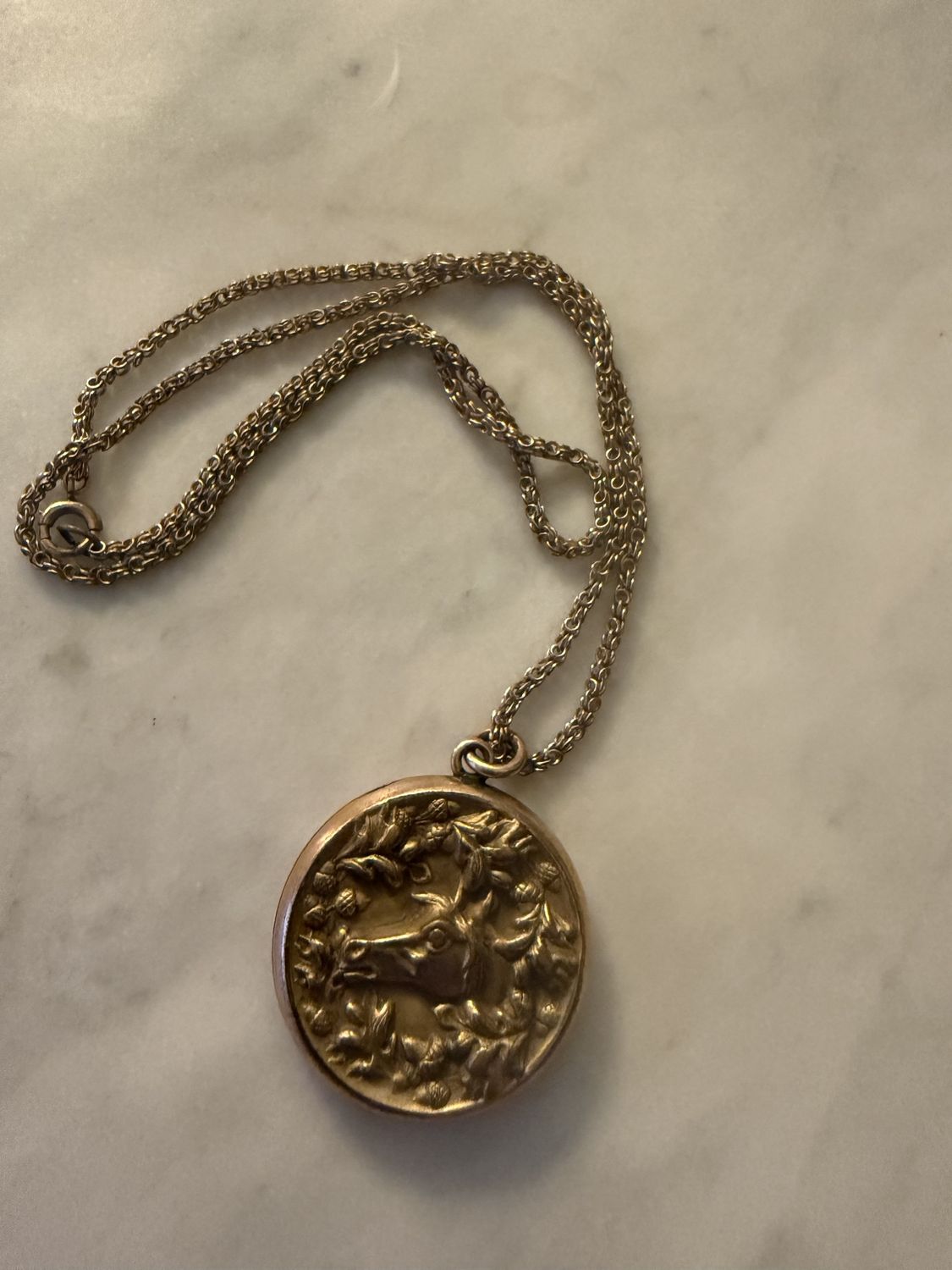 Victorian Gold Filled Chain and Locket with Horse Motif and Engraved Initials