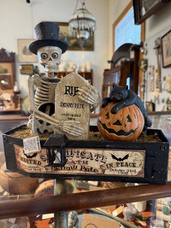 Halloween Bethany Lowe Skinny Pete Skeleton in a Coffin with a Cat on a Jack O&#39; Lantern