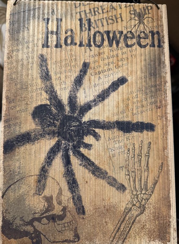&quot;Halloween&quot; Wire hanging Spider Skeleton Sign