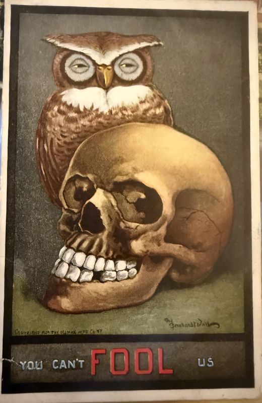 You Can&#39;t April Fool Us Postcard Owl Skull Fantasy Skeleton Head B. Wall Ullman Halloween