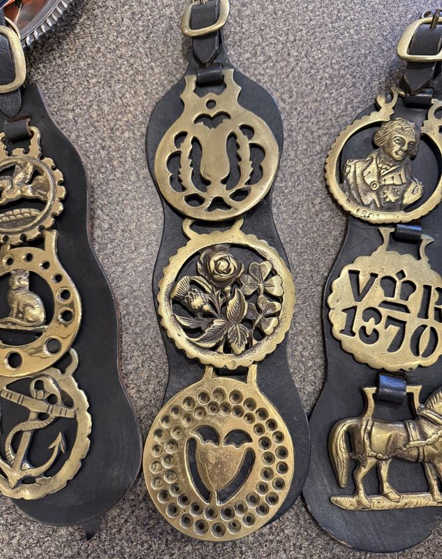 Dress Horse Brass Equestrian Bridle Medallions 3 on Leather