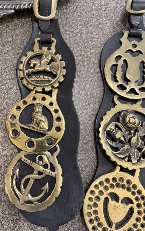 Dress Horse Brass Equestrian Bridle Medallions 3 on Leather