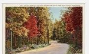 Vintage Potowatomi State Park Door County WI Autumn Road Postcard Unposted
