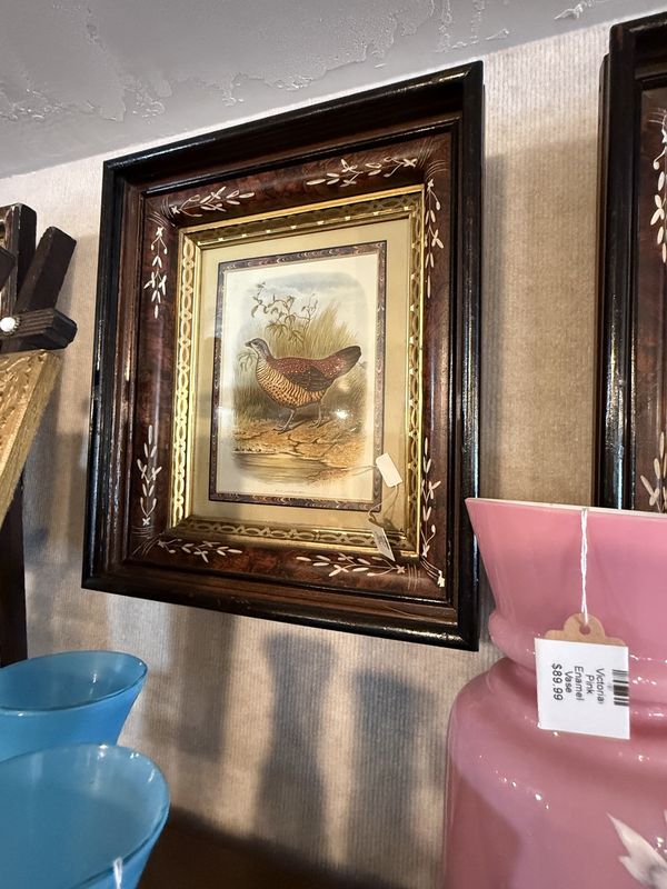 Gesso &amp; Walnut Bird Prints