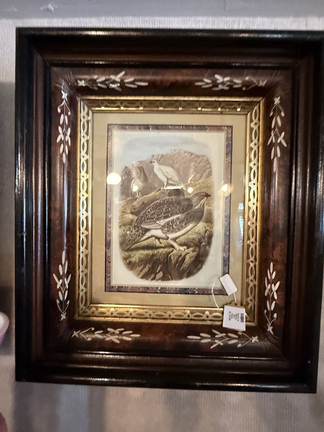 Gesso &amp; Walnut Bird Prints