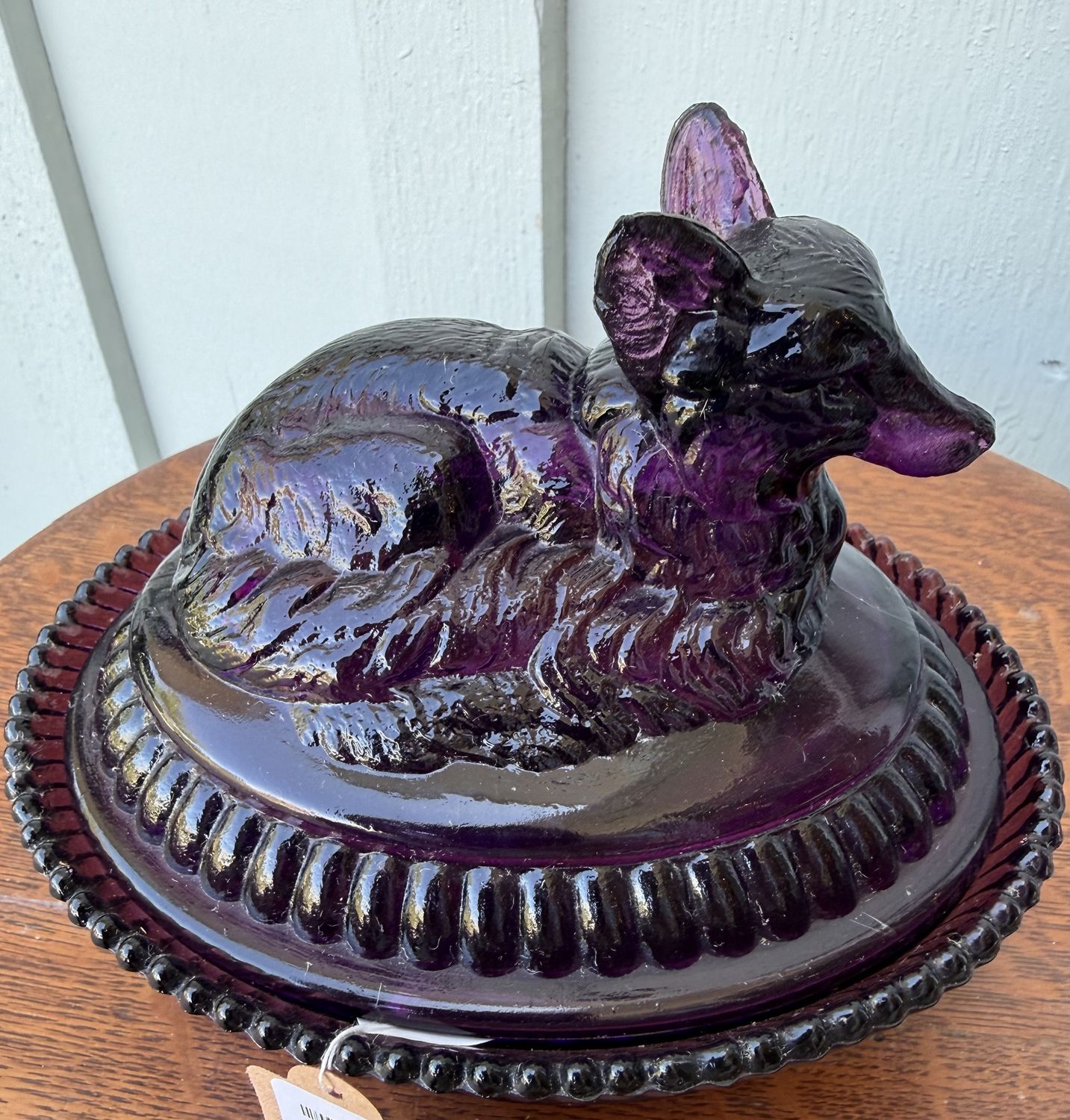 Kemple Glass Fox on Nest