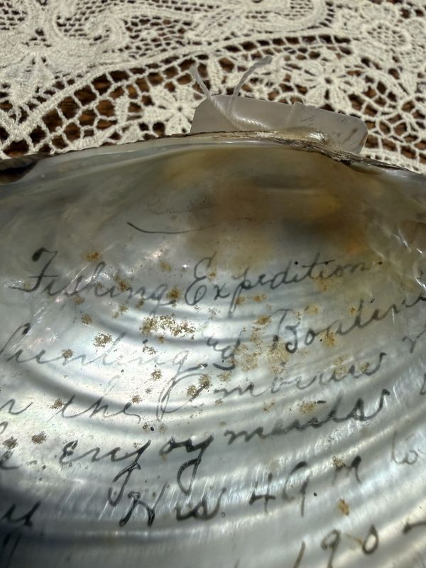 Seashell w/Script Dated June 14, 1904