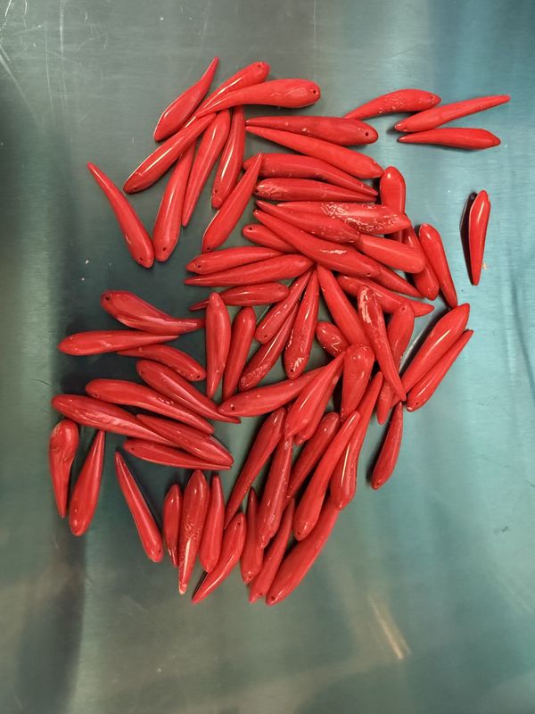 # 7 Italian Red Coral Horn Beads Natural Cornicello Pendant EACH 8.99 EACH 8.99