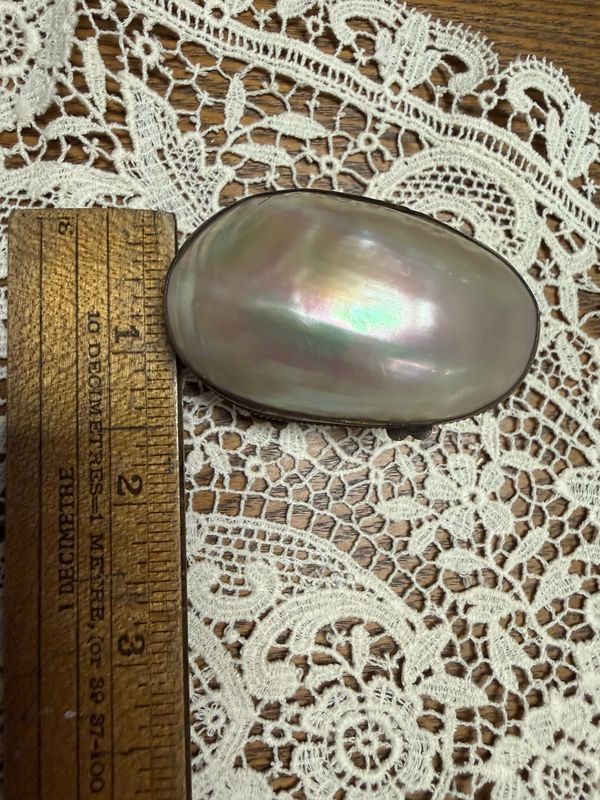 Mother of Pearl Hinged Trinket/Sewing Box