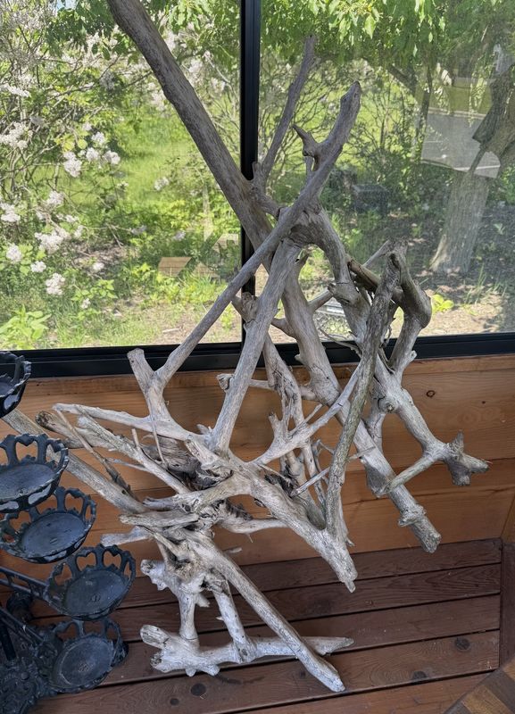 Large Driftwood Piece