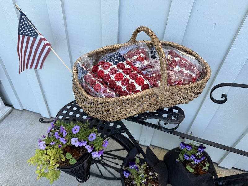 Limited Semi-sesquicentennial  Flag Pillows