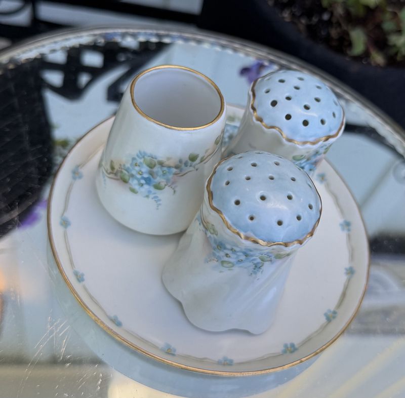 4 Piece Mixed Porcelain Set Hand Painted Forget Me Nots Salt&amp;Pepper, Tray, and Toothpick