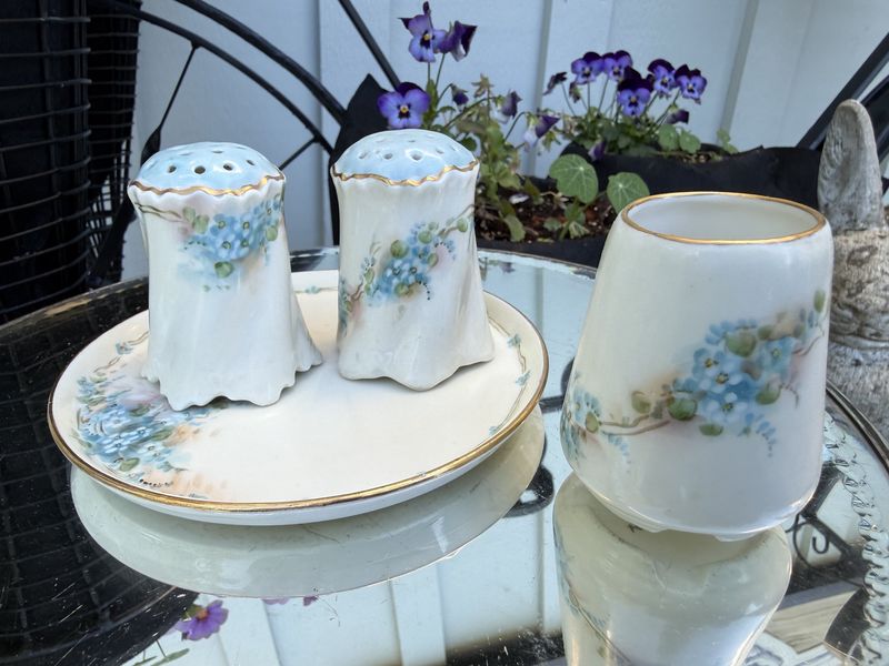 4 Piece Mixed Porcelain Set Hand Painted Forget Me Nots Salt&amp;Pepper, Tray, and Toothpick