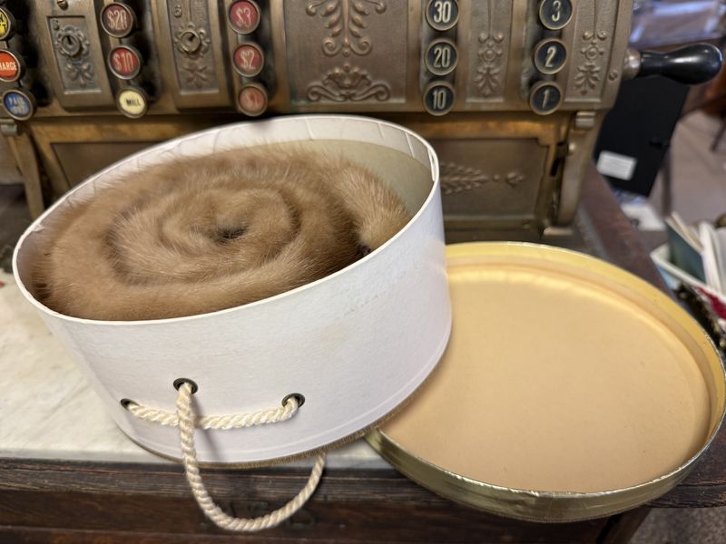 Fur Collar in Original Vintage Box 1940s