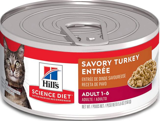 Box of 5.5oz Hills Science Diet Savory Feline Turkey