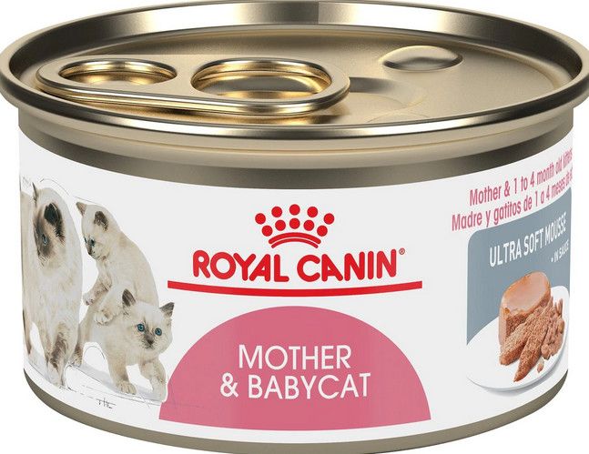 Box of Royal Canin Mother and Baby Cat 3oz
