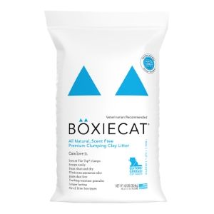 Boxie Cat Clay Scent Free Litter 40#