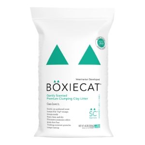 Boxie Cat Clay Gently Scented Litter 40#
