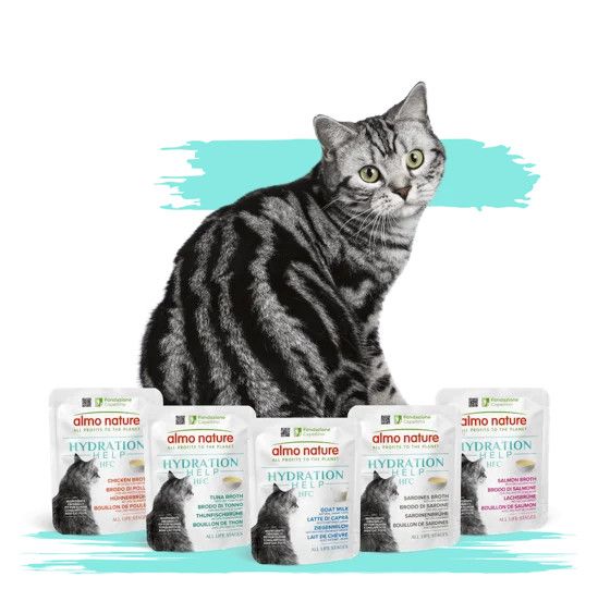 Almo Nature Cat Hydration Help Goat Milk 1.77oz single