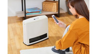 Home heaters and space heating appliances at Budget Buys Dunedin, Florida.