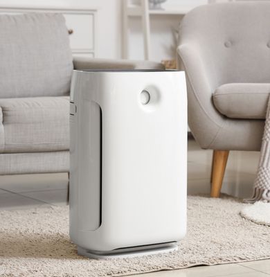 Air purifiers, humidifiers, and dehumidifiers at Budget Buys Dunedin, Florida.