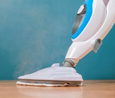 Wet and carpet cleaners for deep home cleaning at Budget Buys Dunedin, Florida.