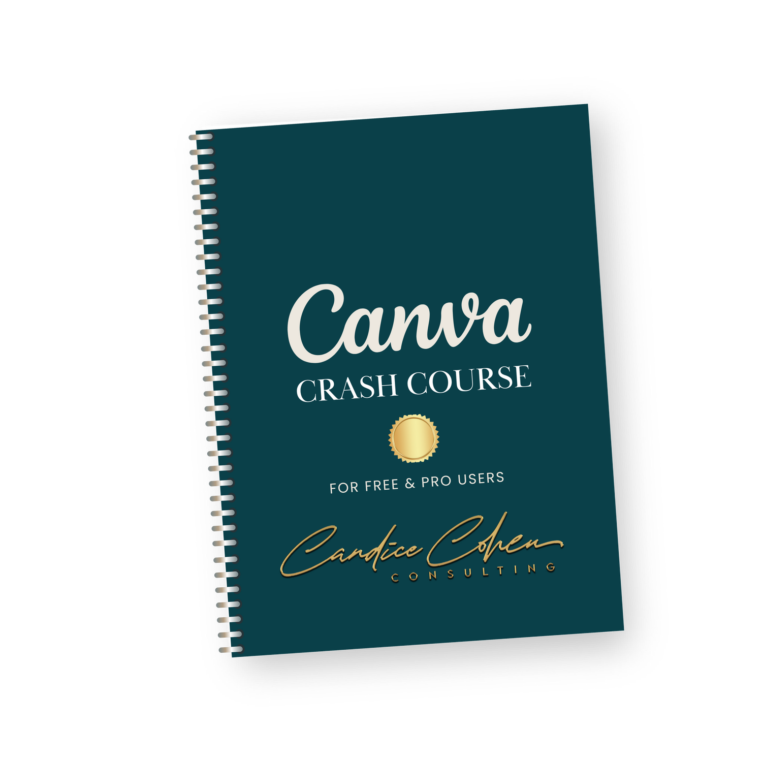 Canva Crash Course: Design Like a Pro (Even If You’re Not One)