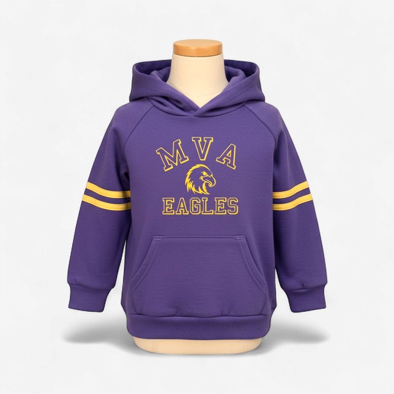 Toddler  and Youth Hoodie with Sleeve Stripes