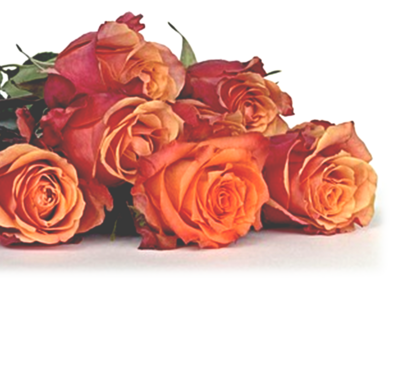 Backstage Rose Delivery