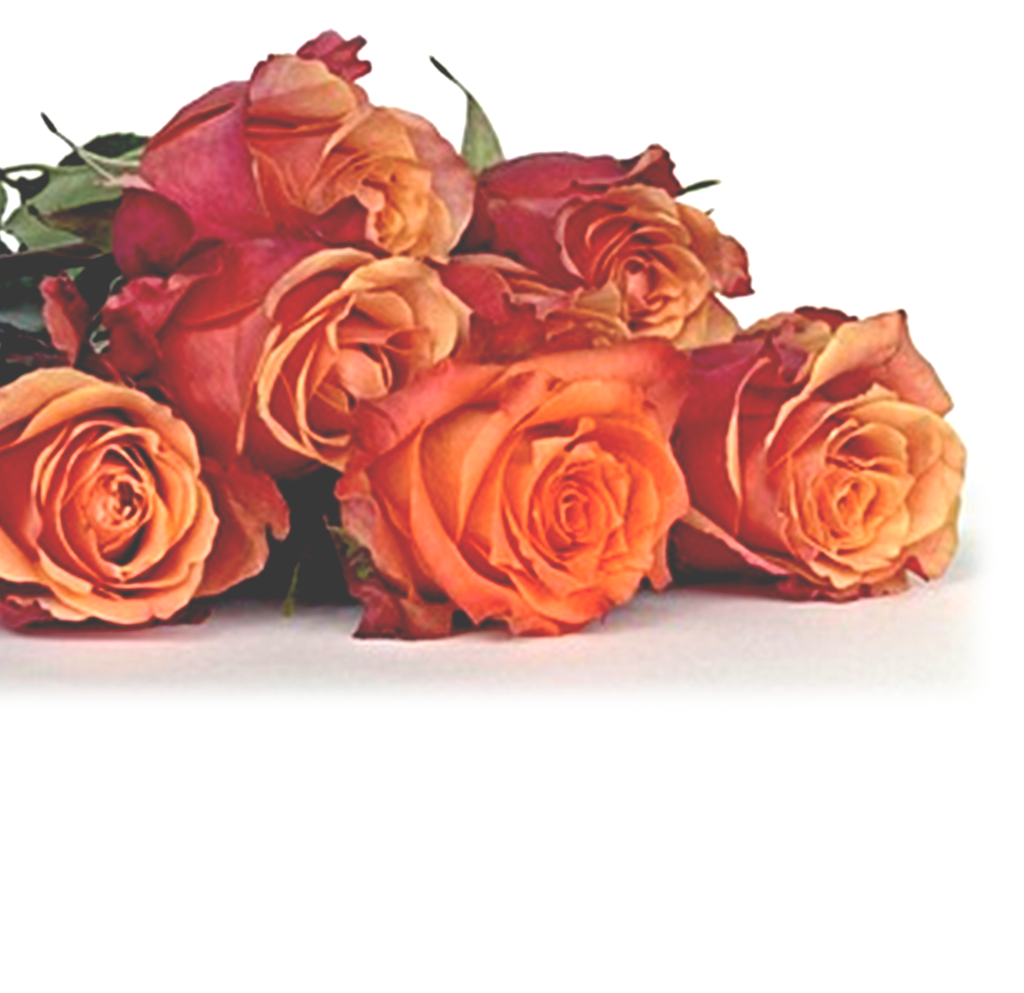 Trio Rose Bouquet Delivery