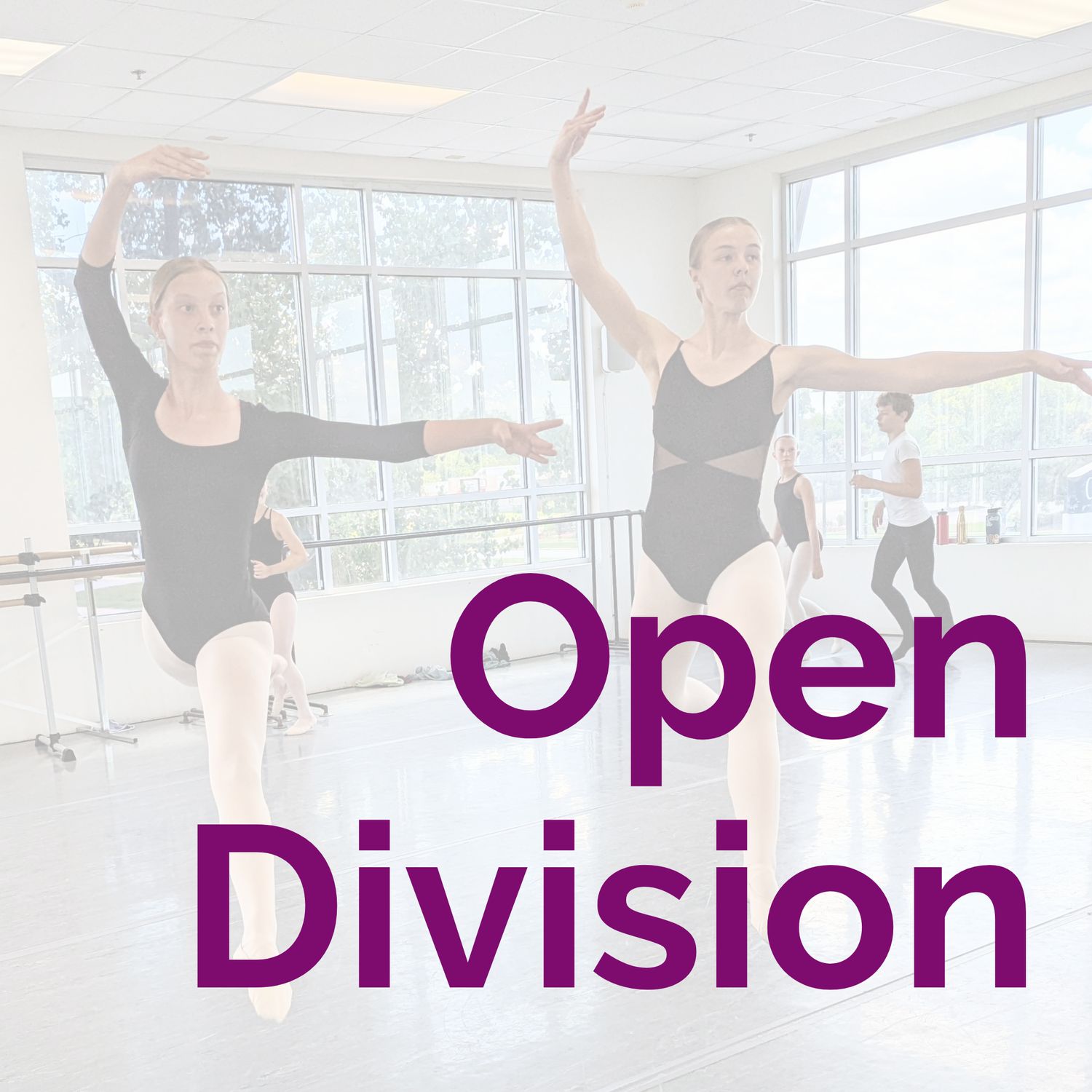 Open Division