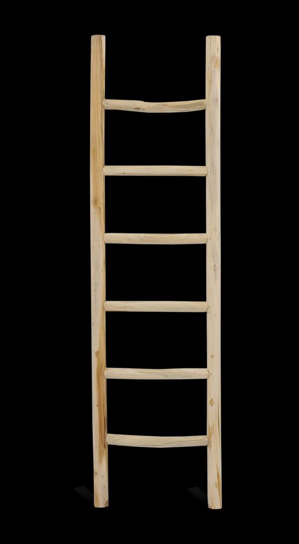 BENOA LADDER TEAK