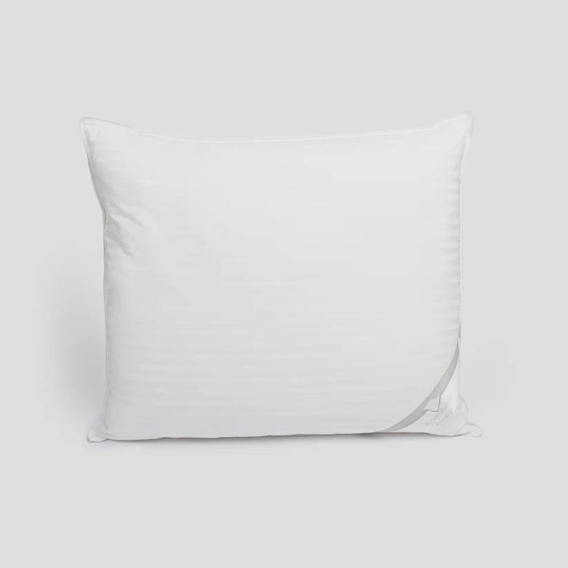 LINNEN AT WORK PILLOW PRESTIGE 850GRAM 60X70