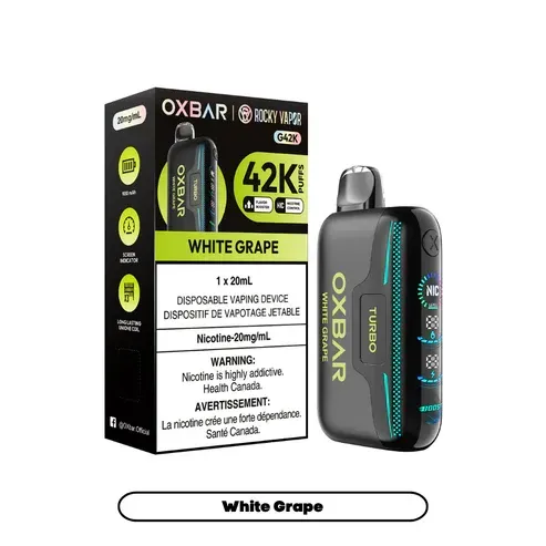 Disposable Vape