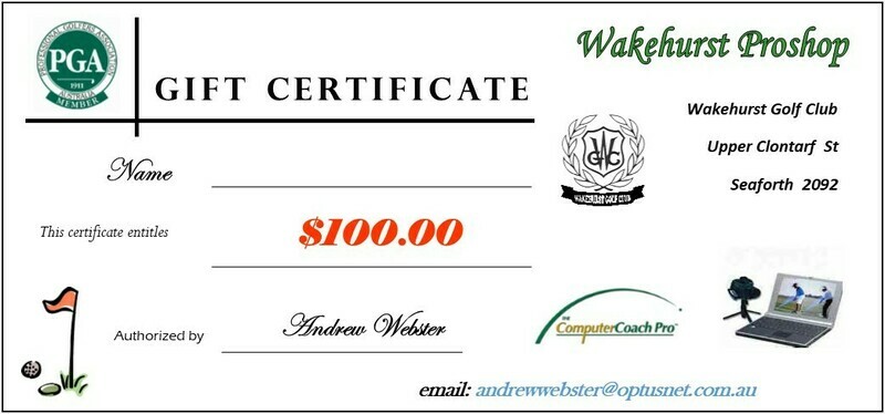 Shop Voucher $100