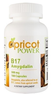 ויטמין B17 (אמיגדלין) - "כימותרפיה טבעית" , 500 מ"ג, 100 כמוסות | B17 Amigdalin 500mg 100vc - Apricot Power