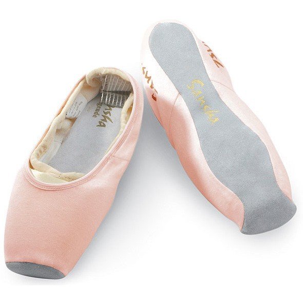 Pointe shoes protection SANSHA