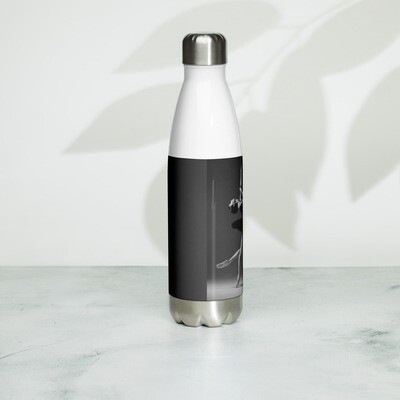 Bouteille en acier inoxydable 'black swan' ATD