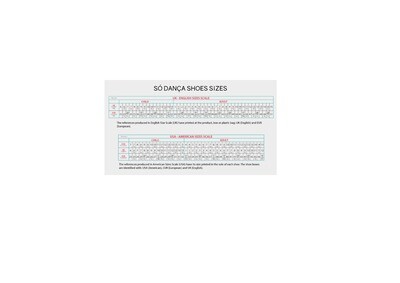 Pointes GRISI SD31 SO DANCA
