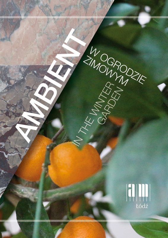 Ambient w ogrodzie zimowym (książka z płytą CD)