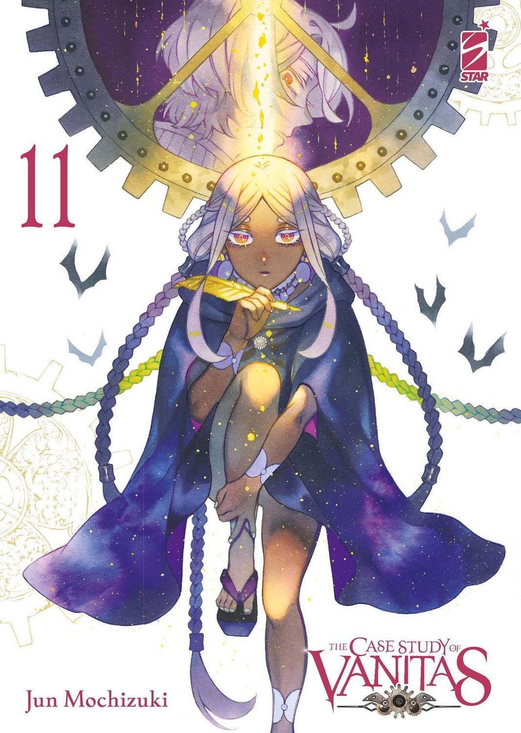 THE CASE STUDY OF VANITAS N. 11