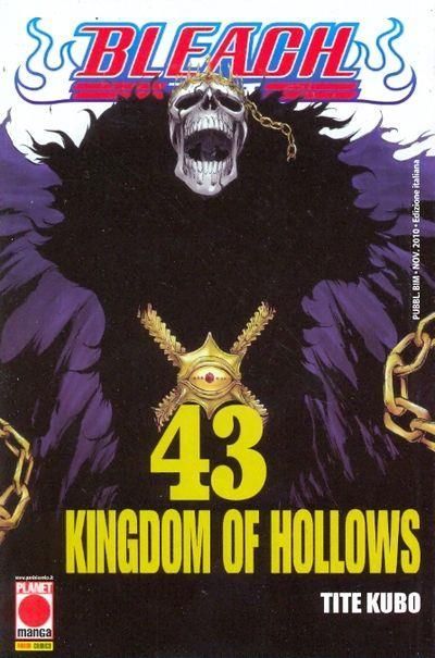 BLEACH 43